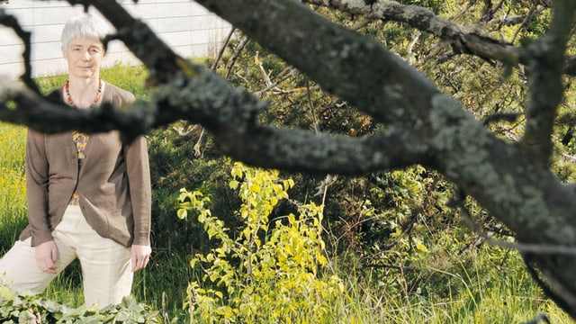 Video «Lob der Artenvielfalt (alt)» abspielen Video «Lob der Artenvielfalt (alt)» abspielen