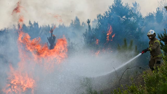 Waldbrände in Chile weiten sich aus
