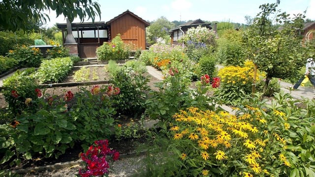 Schrebergarten schaffhausen Schrebergarten schaffhausen