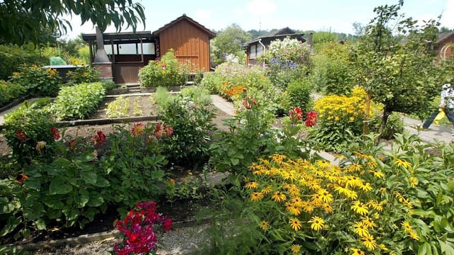 Schrebergarten schaffhausen