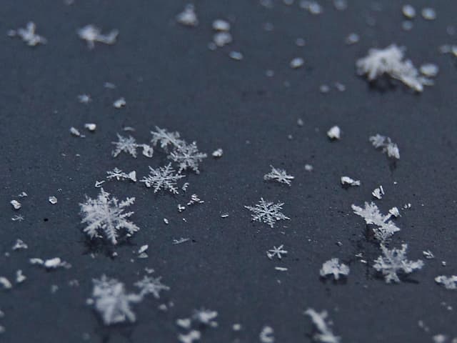 Schneesterne auf Asphalt.
