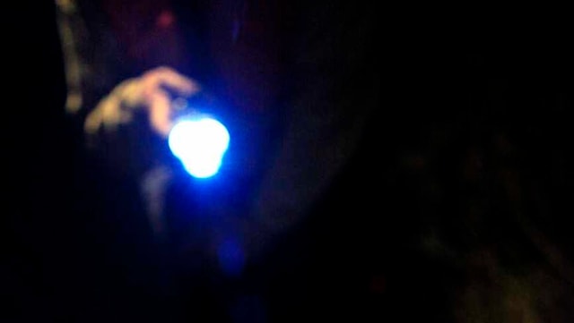 Jemand leuchtet mit einer Taschenlampe Jemand leuchtet mit einer Taschenlampe