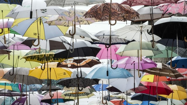 Aufgespannte Regenschirme. Aufgespannte Regenschirme.