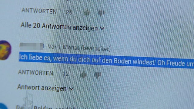 Screenshot Kommentar Screenshot Kommentar