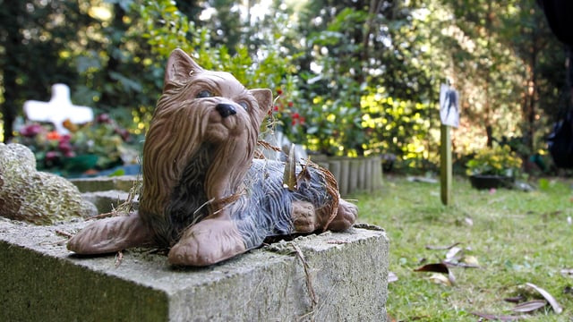 Eine Statue eines langhaarigen sitzenden Hundes auf einem Grab im Tierfriedhof im belgischen Ort Boom. Eine Statue eines langhaarigen sitzenden Hundes auf einem Grab im Tierfriedhof im belgischen Ort Boom.