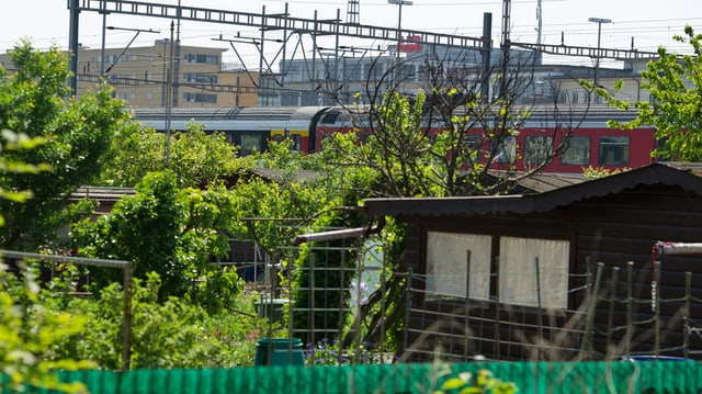Schrebergarten schlieren Schrebergarten schlieren