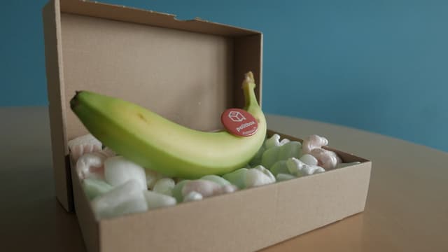 Die Politboxbanane. Die Politboxbanane.