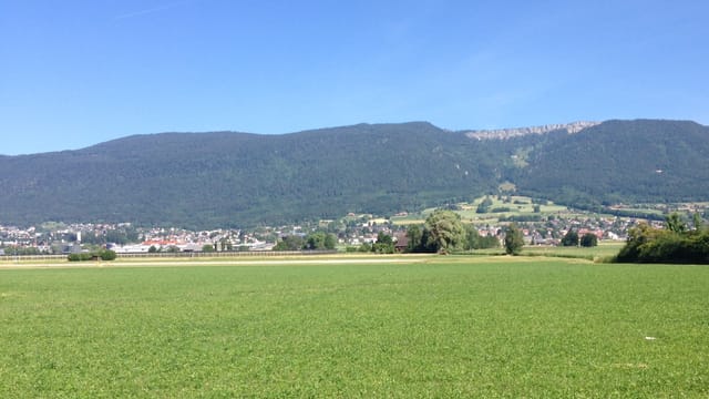 Blick auf eine Wiese, im Hintergrund der Jura. Blick auf eine Wiese, im Hintergrund der Jura.