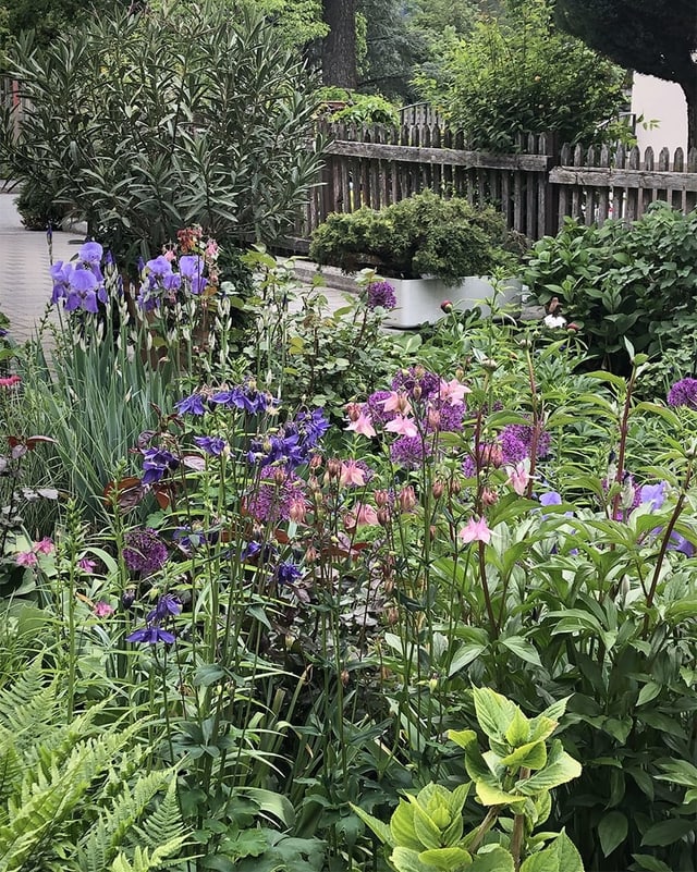Blick in einen Blumengarten.