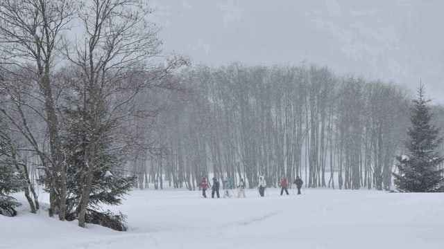 Verschneite Landschaft bei Campra. Verschneite Landschaft bei Campra.