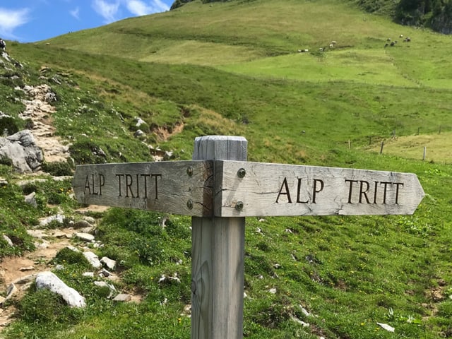 Wegweiser Alp Tritt