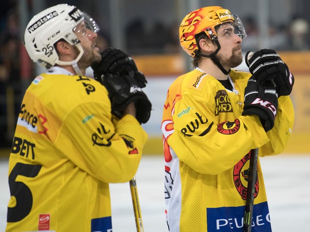 Andrew Ebbett (links) und Mark Arcobello vom SCB blicken nach oben Andrew Ebbett (links) und Mark Arcobello vom SCB blicken nach oben