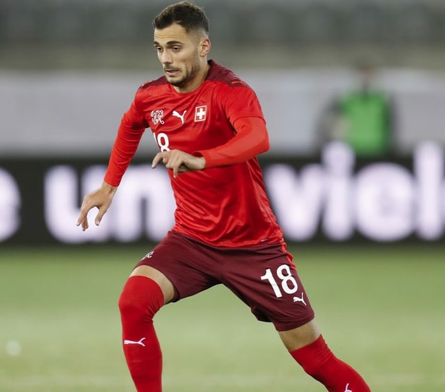 Nedim Bajrami. Nedim Bajrami.