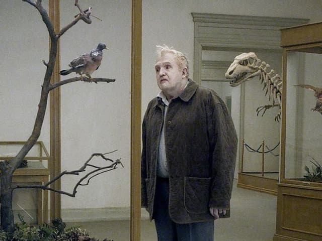 Ein Mann betrachtet in einem Museum gedankenverloren eine ausgestopfte Taube. Ein Mann betrachtet in einem Museum gedankenverloren eine ausgestopfte Taube.