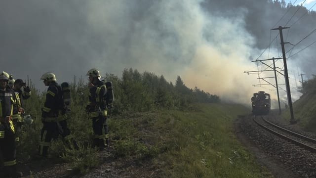 Feuerwehrleute im Einsatz Feuerwehrleute im Einsatz
