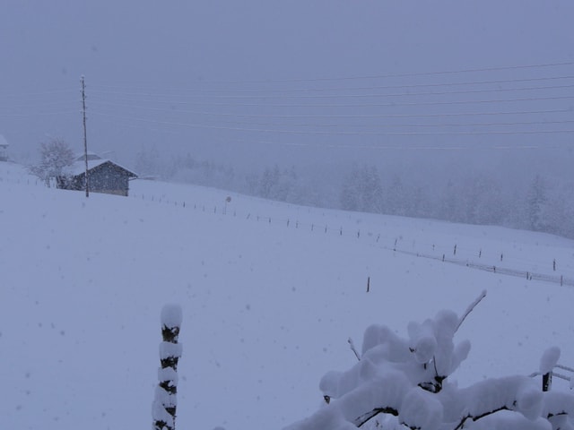 Alles weiss.