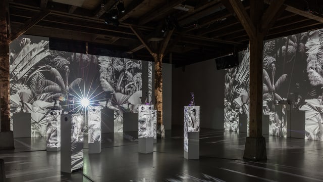 Die Installation «Das Fremde» im Zürcher Kinstraum Walcheturm. Die Installation «Das Fremde» im Zürcher Kinstraum Walcheturm.