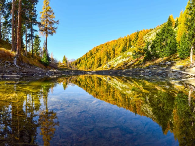 Der blaue Himmel und die farbigen Bäume spiegeln sich im Schwarzsee.