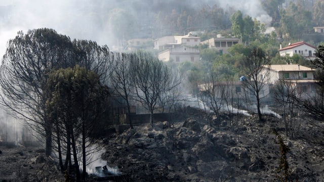 Waldbrand in Sizilien Waldbrand in Sizilien