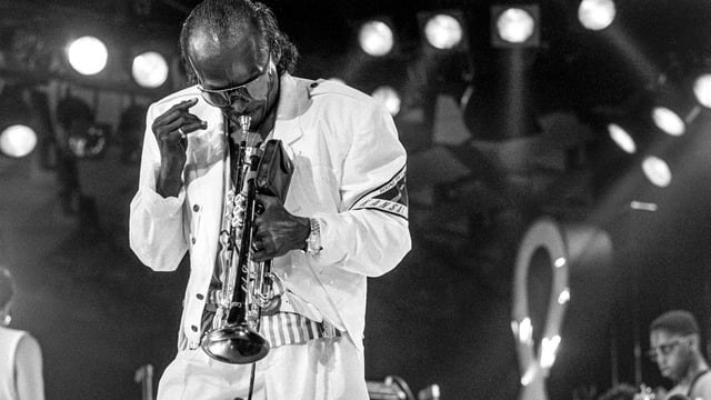 il trumbettist Miles Davis il trumbettist Miles Davis
