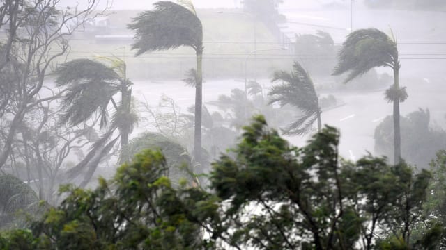 Regen peischt in Australien über vom Wind gekrümmte Palmen. Regen peischt in Australien über vom Wind gekrümmte Palmen.