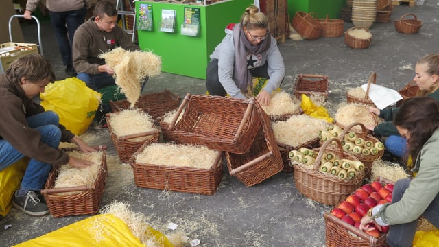 Studenten füllen Körbe mit Stroh und Gemüse. Studenten füllen Körbe mit Stroh und Gemüse.