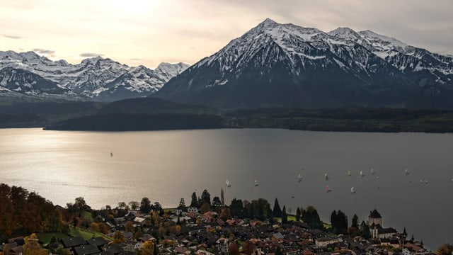 Zahlreiche Segelboote wagten sich am Sonntag auf den Thunersee bei Oberhofen. Zahlreiche Segelboote wagten sich am Sonntag auf den Thunersee bei Oberhofen.