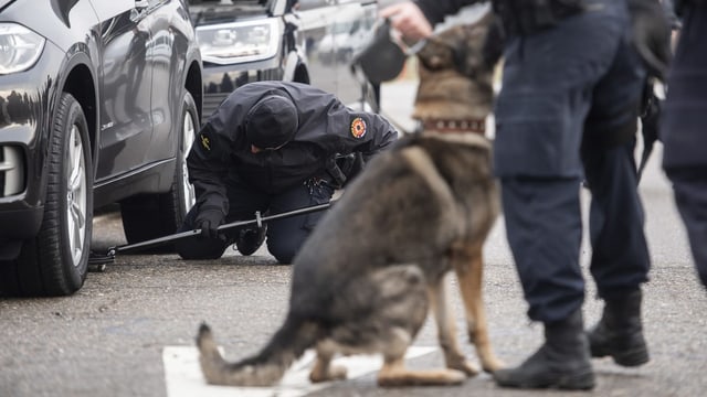 Ein Polizist inspiziert die Unterseite eines Autos, im Vordergrund wartet ein Hund auf seinen Einsatz. Ein Polizist inspiziert die Unterseite eines Autos, im Vordergrund wartet ein Hund auf seinen Einsatz.