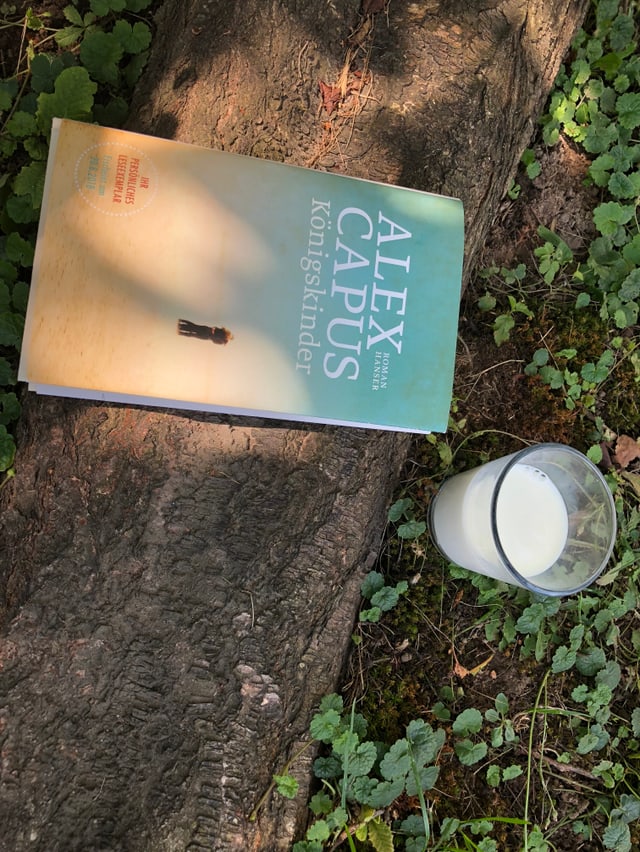«Königskinder» liegt unter einem Baum auf einer Baumwurzel. Ein Glas Milch steht daneben. «Königskinder» liegt unter einem Baum auf einer Baumwurzel. Ein Glas Milch steht daneben.