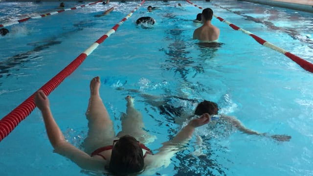 Schwimmer im hallenbad Schwimmer im hallenbad