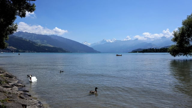 Blick von Thun über den See. Nur über den Bergen des Oberlandes hat es Quellwolken. Blick von Thun über den See. Nur über den Bergen des Oberlandes hat es Quellwolken.