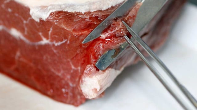 Ein Stück Fleisch wird untersucht. Ein Stück Fleisch wird untersucht.