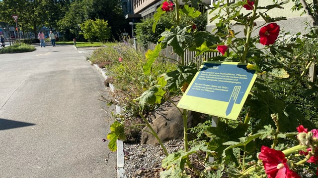Erklärungstafel von Grünstadt Zürich Erklärungstafel von Grünstadt Zürich