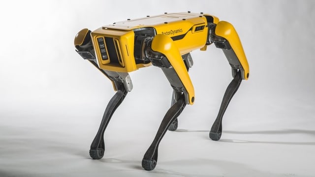 Roboterhund Roboterhund