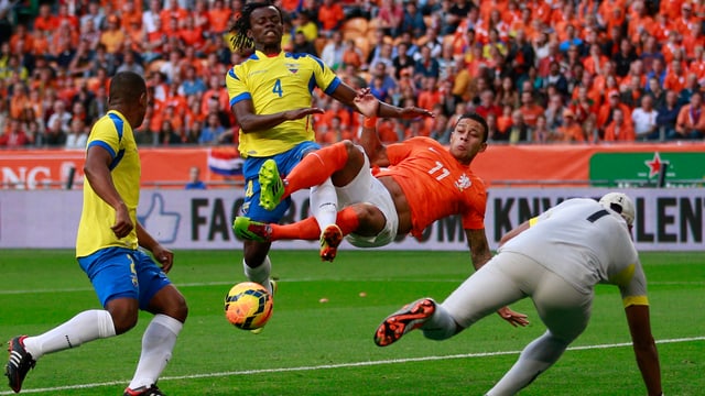 Ecuador erkämpft sich bei Vize-Weltmeister Holland ein 1:1-Unentschieden. Ecuador erkämpft sich bei Vize-Weltmeister Holland ein 1:1-Unentschieden.