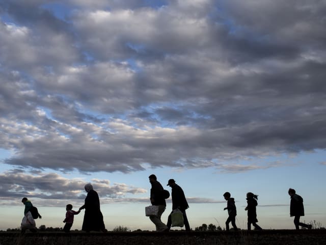 Flüchtlinge auf der Balkanroute, 2015 vor der ungarischen Grenze Flüchtlinge auf der Balkanroute, 2015 vor der ungarischen Grenze