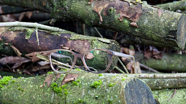 Brille Brille
