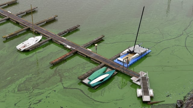 Boote auf giftgrünem Wasser Boote auf giftgrünem Wasser