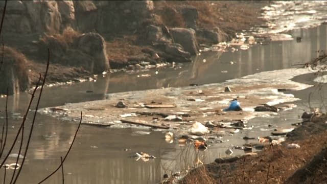 Fluss mit Verschmutzung
