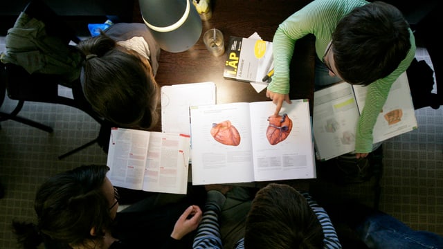 Studenten sitzen in der Bibliothek der Universitaet Hamburg um einen Tisch mit medizinischen Fachbüchern (von oben). Studenten sitzen in der Bibliothek der Universitaet Hamburg um einen Tisch mit medizinischen Fachbüchern (von oben).