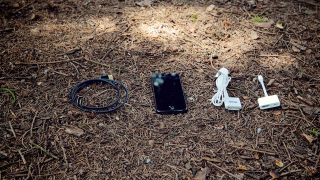 Kabel und Smartphone liegen am Waldboden.