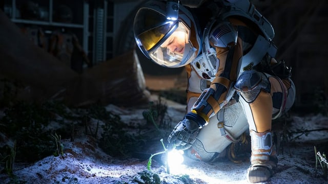 ein Astronaut begutachtet eine Pflanze ein Astronaut begutachtet eine Pflanze