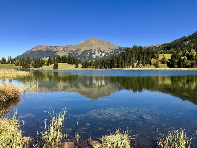 Die umgebenden Berge spiegeln sich im Lauenensee.