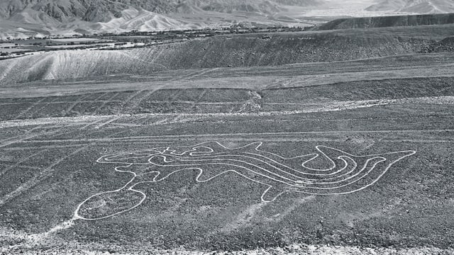 Eine Wüste, darauf gezeichnet ein Wal, das Foto ist schwarz-weiss. Eine Wüste, darauf gezeichnet ein Wal, das Foto ist schwarz-weiss.