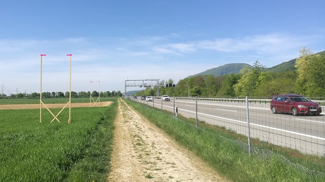 Bauprofile neben Autobahn Bauprofile neben Autobahn