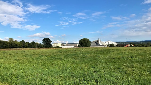 Wiese, im Hintergrund Salzlager von Rheinfelden Wiese, im Hintergrund Salzlager von Rheinfelden