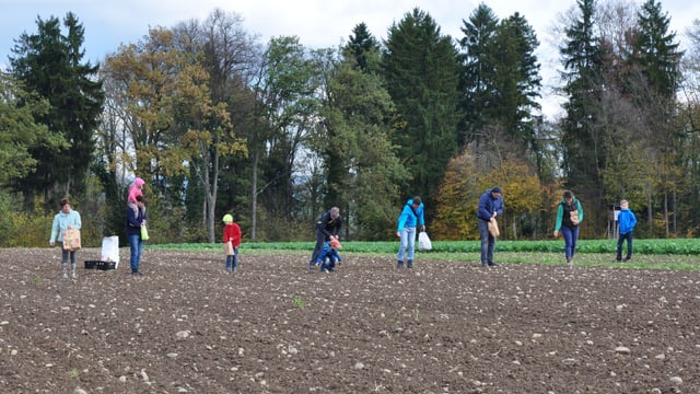 Leuten arbeiten auf einem Feld Leuten arbeiten auf einem Feld