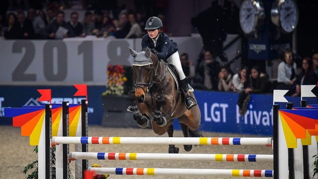 Fabienne Eggenberger springt mit Dexter über ein Hindernis Fabienne Eggenberger springt mit Dexter über ein Hindernis