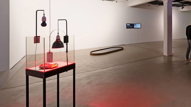 Ein Smartphone und zwei Wärmelampen sind in einem Glaskasten. Ein Smartphone und zwei Wärmelampen sind in einem Glaskasten.