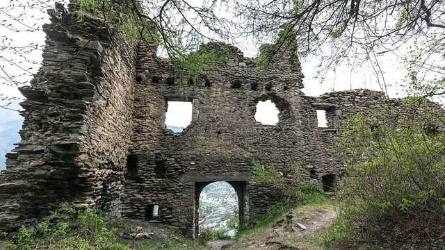Eine Burg, die mit Gestrüpp überdeckt ist. Eine Burg, die mit Gestrüpp überdeckt ist.